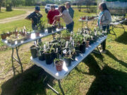 MG’s hold successful plant sale; plot future projects