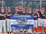 Nashville 14U All-Stars tops at state tournament