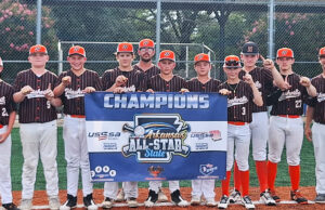 Nashville 14U All-Stars tops at state tournament