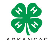Arkansas 4-H hosting gift card donation campaign for Texas 4-H flood relief
