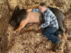 ‘Photo of the Year’ among News-Leader honors in state press competition