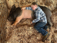 ‘Photo of the Year’ among News-Leader honors in state press competition