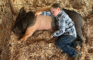 ‘Photo of the Year’ among News-Leader honors in state press competition