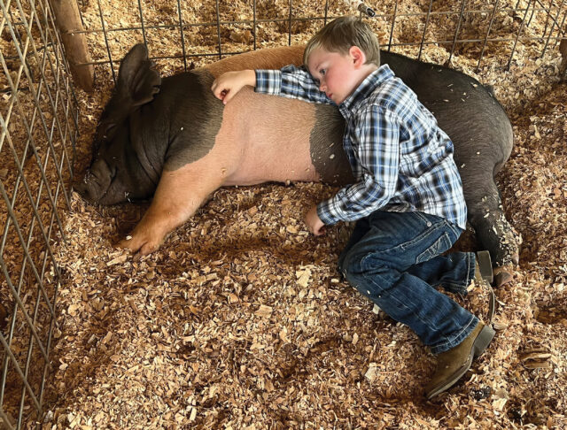 fair pic for front