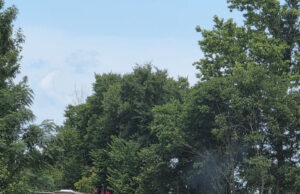 Train derailment reported early Tuesday morning